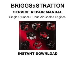 Briggs & Stratton Single Cylinder L-Head Air-Cooled Engines Service Repair Workshop Manual 270962