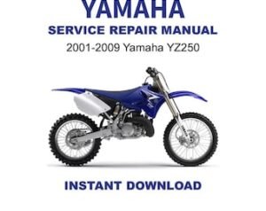 2001-2009 Yamaha YZ250 Service Repair Workshop Manual