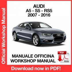 WORKSHOP MANUAL AUDI A5 S5 RS5 (2007-2016)