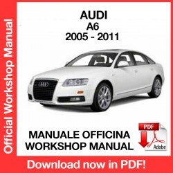 WORKSHOP MANUAL AUDI A6 (2005-2011)