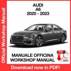 Workshop Manual Audi A6 4A5 (2020-2023)