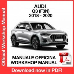 WORKSHOP MANUAL AUDI Q3 (2018-2020)