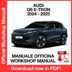 Workshop Manual Audi Q6 e-tron (2024-2025)