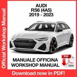 Workshop Manual Audi RS6 4A5 (2019-2023)