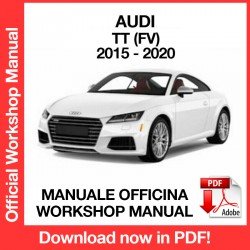 WORKSHOP MANUAL AUDI TT (2015-2020)