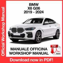 Workshop Manual BMW X6 G06 (2019-2024)