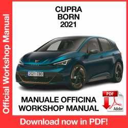 Workshop Manual Cupra Born (2021)
