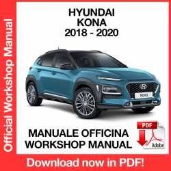 Workshop Manual Hyundai Kona (2018-2020)