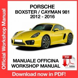 Workshop Manual Porsche Boxster - Cayman 981 (2012-2016)