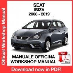 Workshop Manual Seat Ibiza (2008-2019)