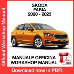 Workshop Manual Skoda Fabia 4 (2020-2023)