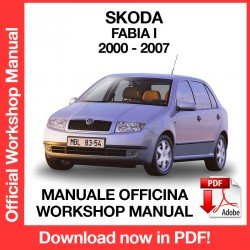 Workshop Manual Skoda Fabia MK1 (2000-2007)