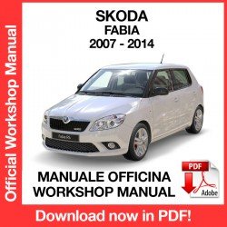 Workshop Manual Skoda Fabia MK2 (2007-2014)
