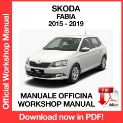 Workshop Manual Skoda Fabia MK3 (2015-2019)