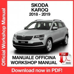 Workshop Manual Skoda KAROQ (2018-2019)