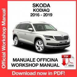 Workshop Manual Skoda KODIAQ (2016-2019)