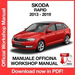 Workshop Manual Skoda Rapid (2013-2019)