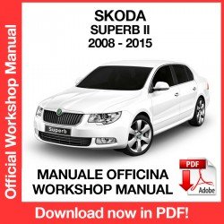 Workshop Manual Skoda Superb MK2 (2008-2015)
