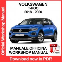 Workshop Manual Volkswagen T-Roc (2018-2020)