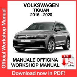 Workshop Manual Volkswagen Tiguan (2016-2020)