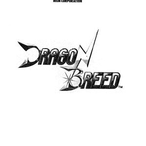 IREM - DRAGON BREED - Pinout cone 1 - Service Manual - Parts Manual - Owner manual -  Pdf Download